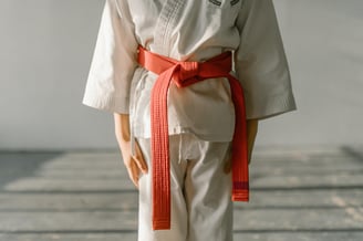 Person Wearing a Martial Arts Uniform with Orange Belt